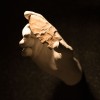 Chipped-stone artifact that resembles an arrowhead