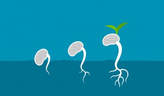 Illustration of sprouts