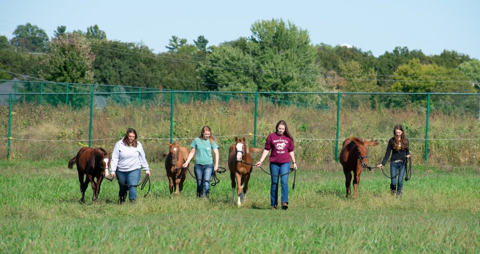 This is a picture of students in the equine program and their horses.