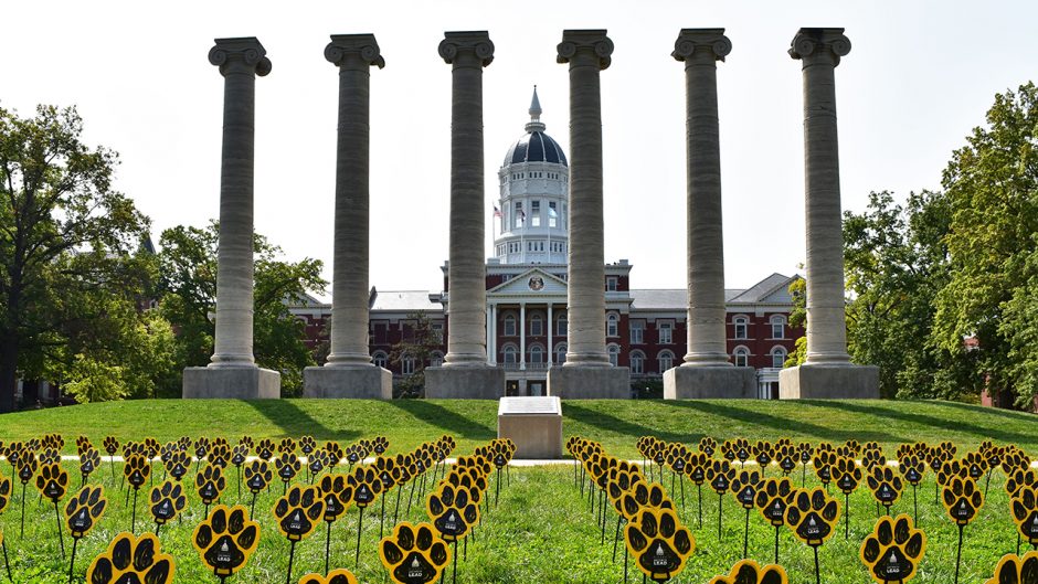 sticks with pawprints on them appear on Francis Quadrangle in front of the columns