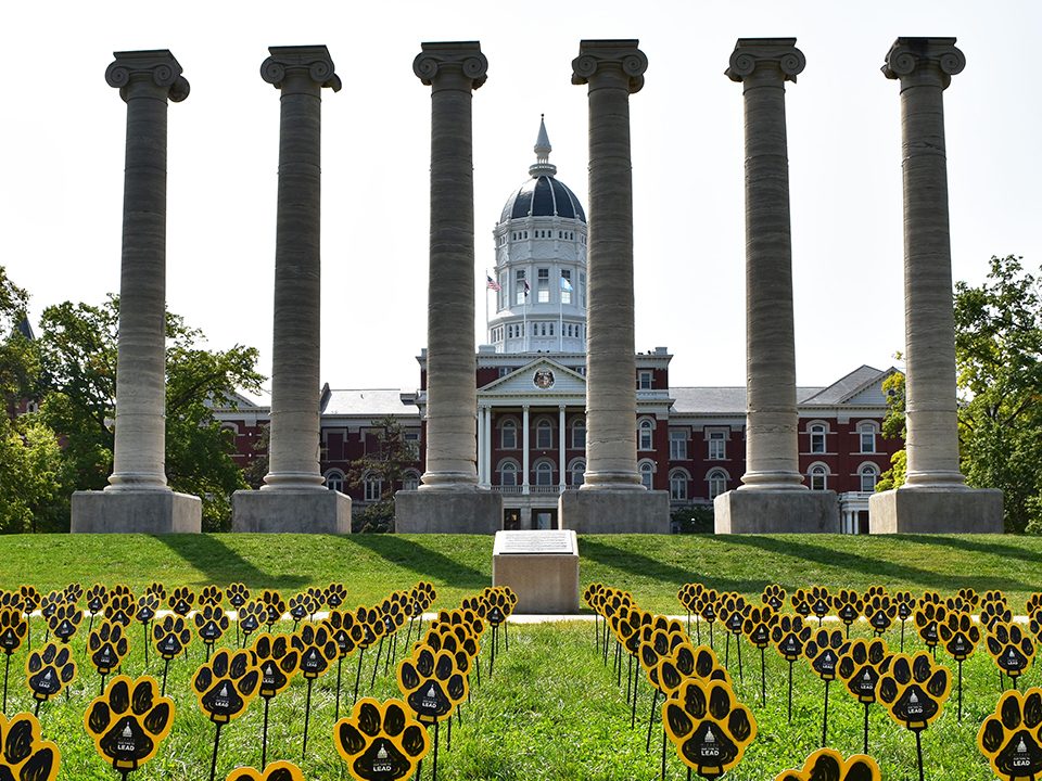 sticks with pawprints on them appear on Francis Quadrangle in front of the columns