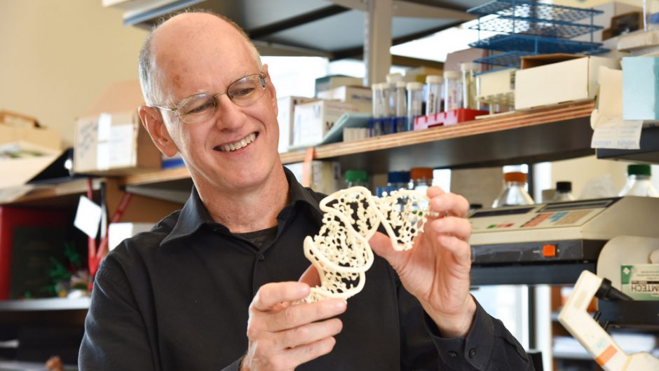 Donald Burke-Agüero examines his model of the RNA protein structure.