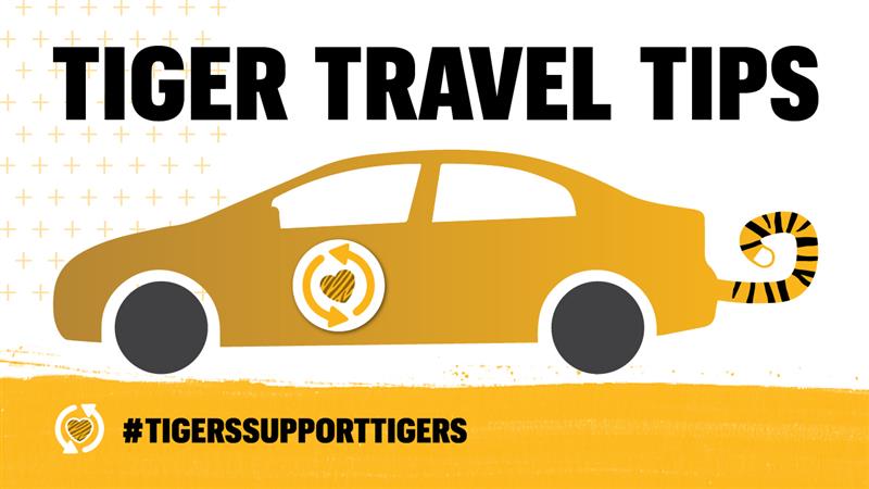 graphic of a car with a tiger tail that says 