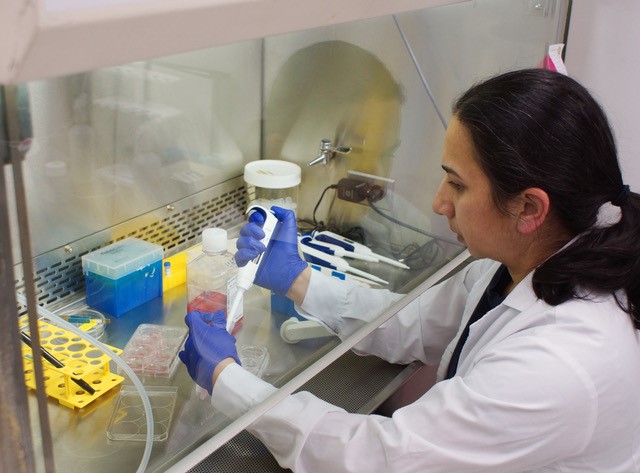 photo of a researcher in a lab