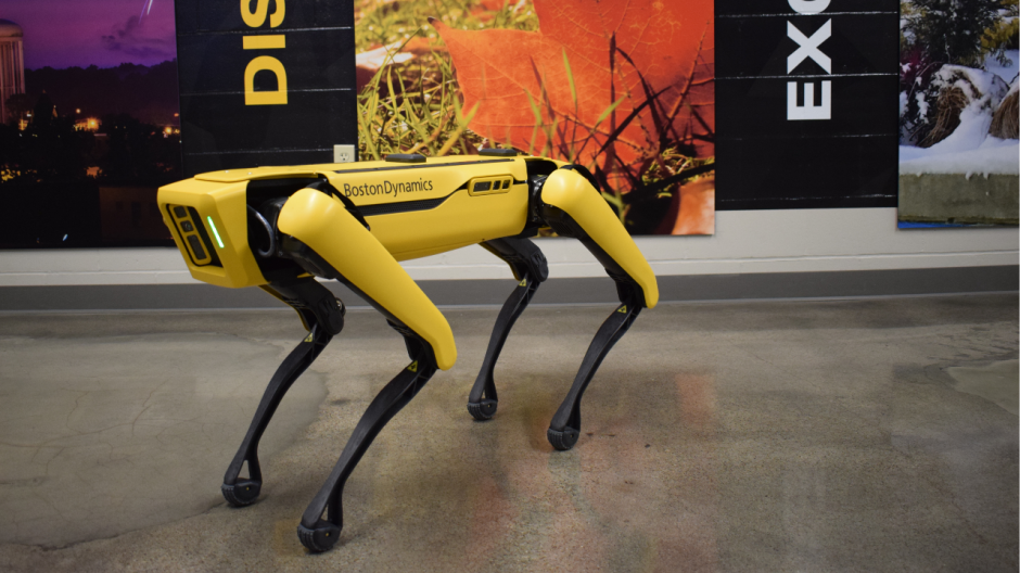 a black and gold robot dog