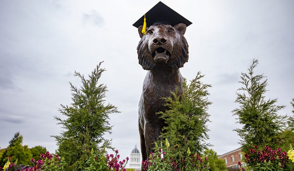 Tiger statue with mortarboard