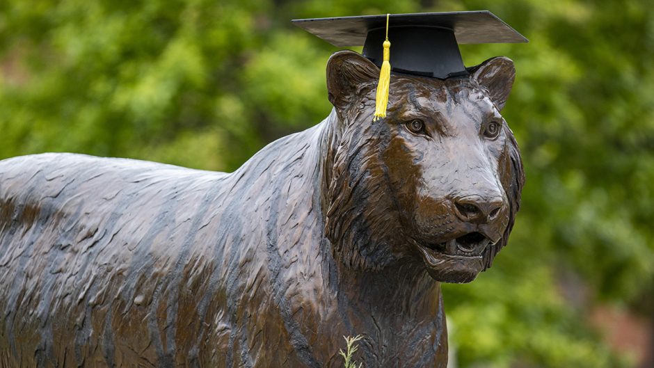 a tiger statue with a graduation cap on