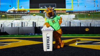 This is a picture of Truman the Tiger leaning on a recycling bin.