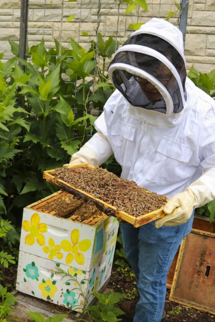 this is a photo of someone looking at a beehive