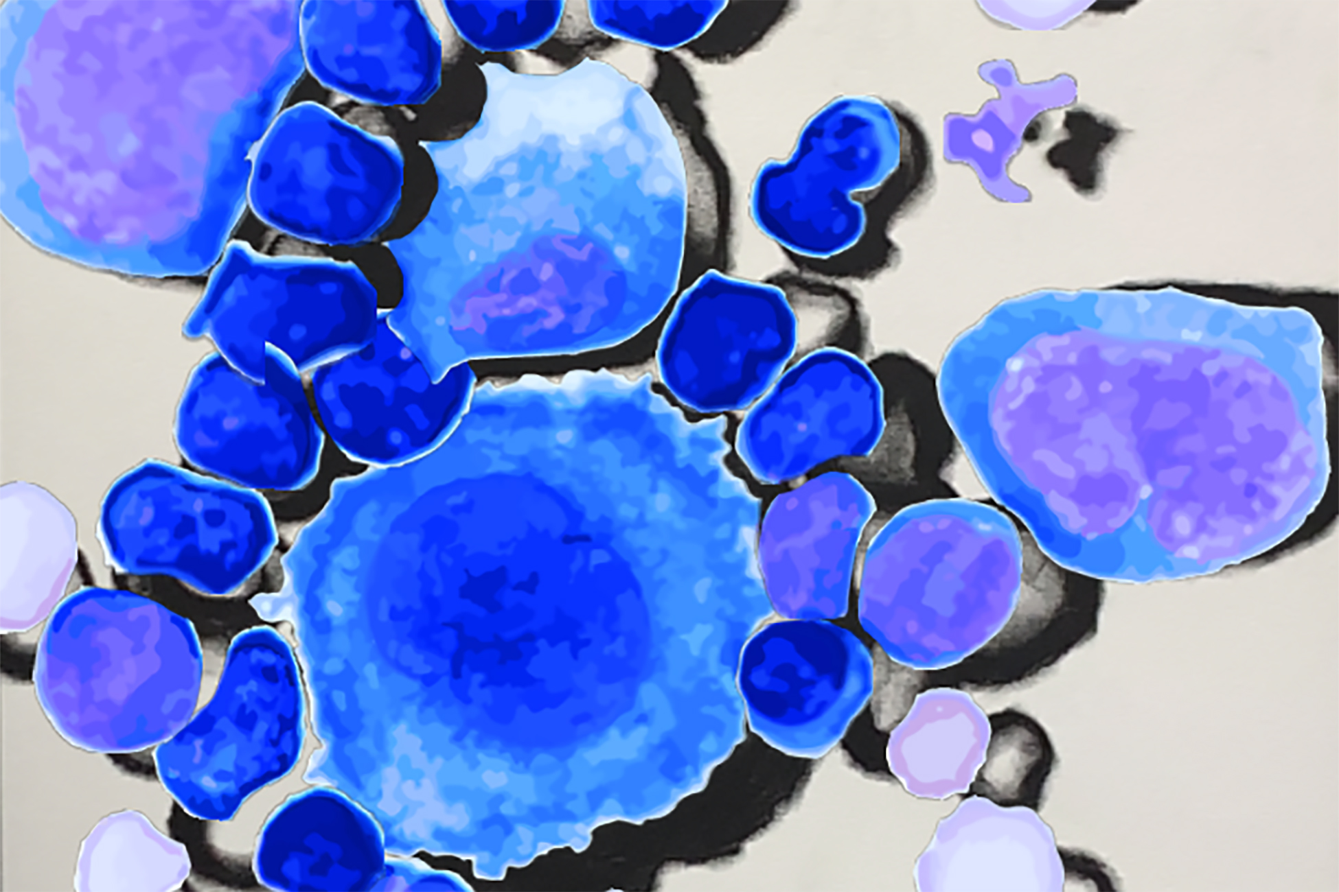piece of art with lots of blue-looking cells