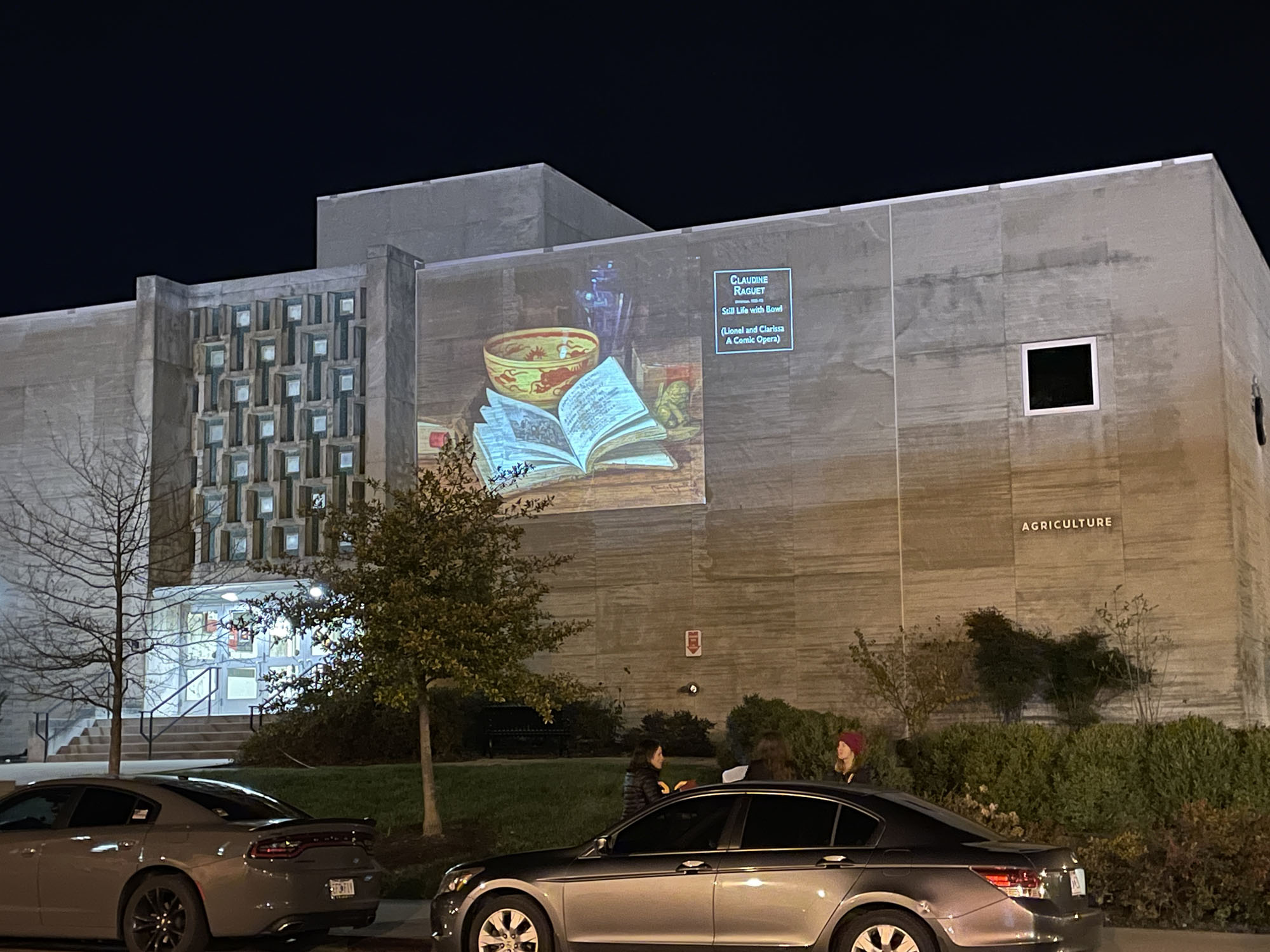 photo of a piece of art being projected on the side of a building at night