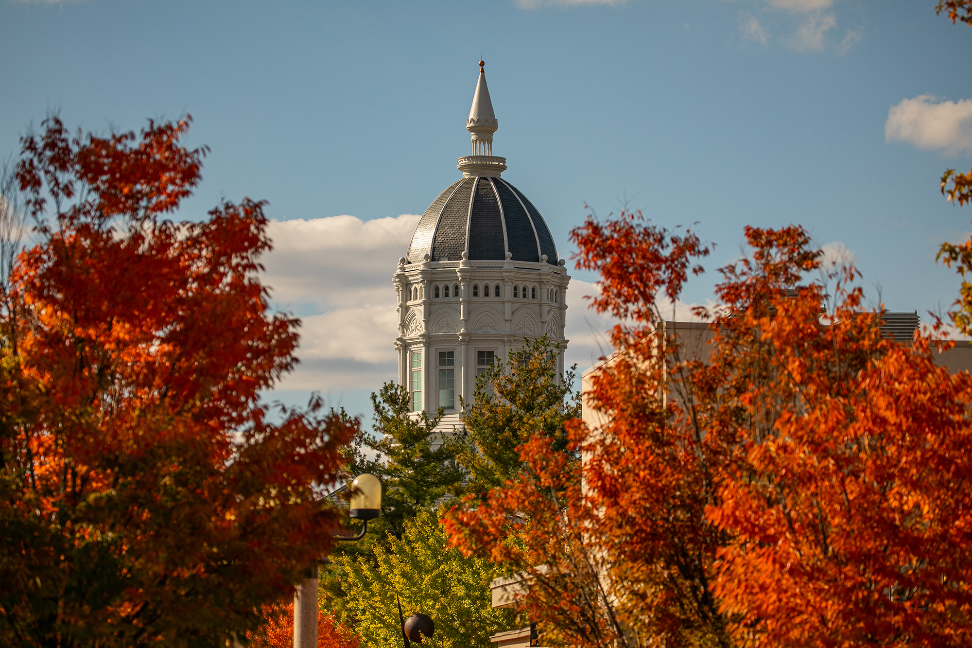 fall photo of jesse hall dome and colored trees