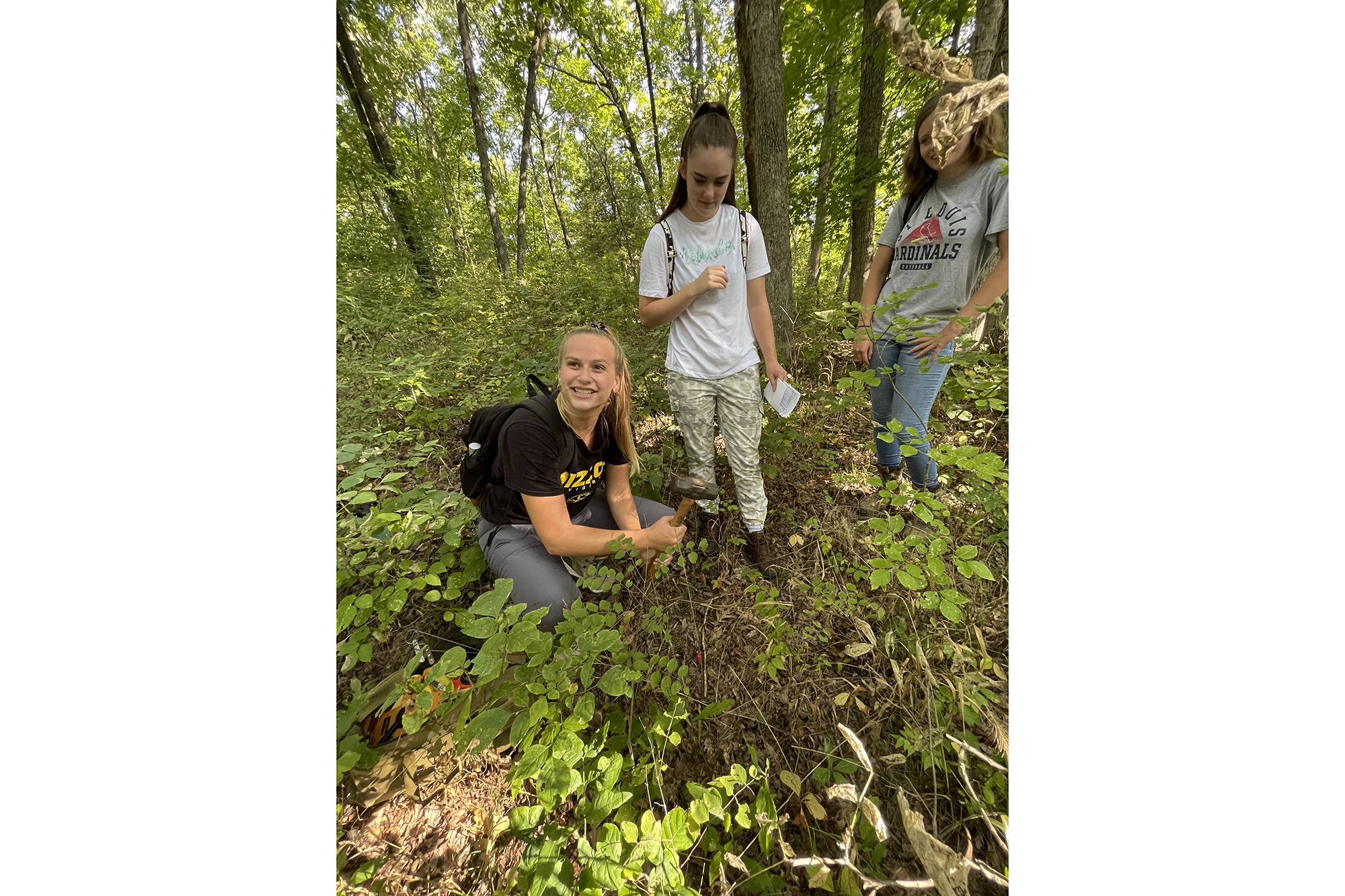 three students work in the woods