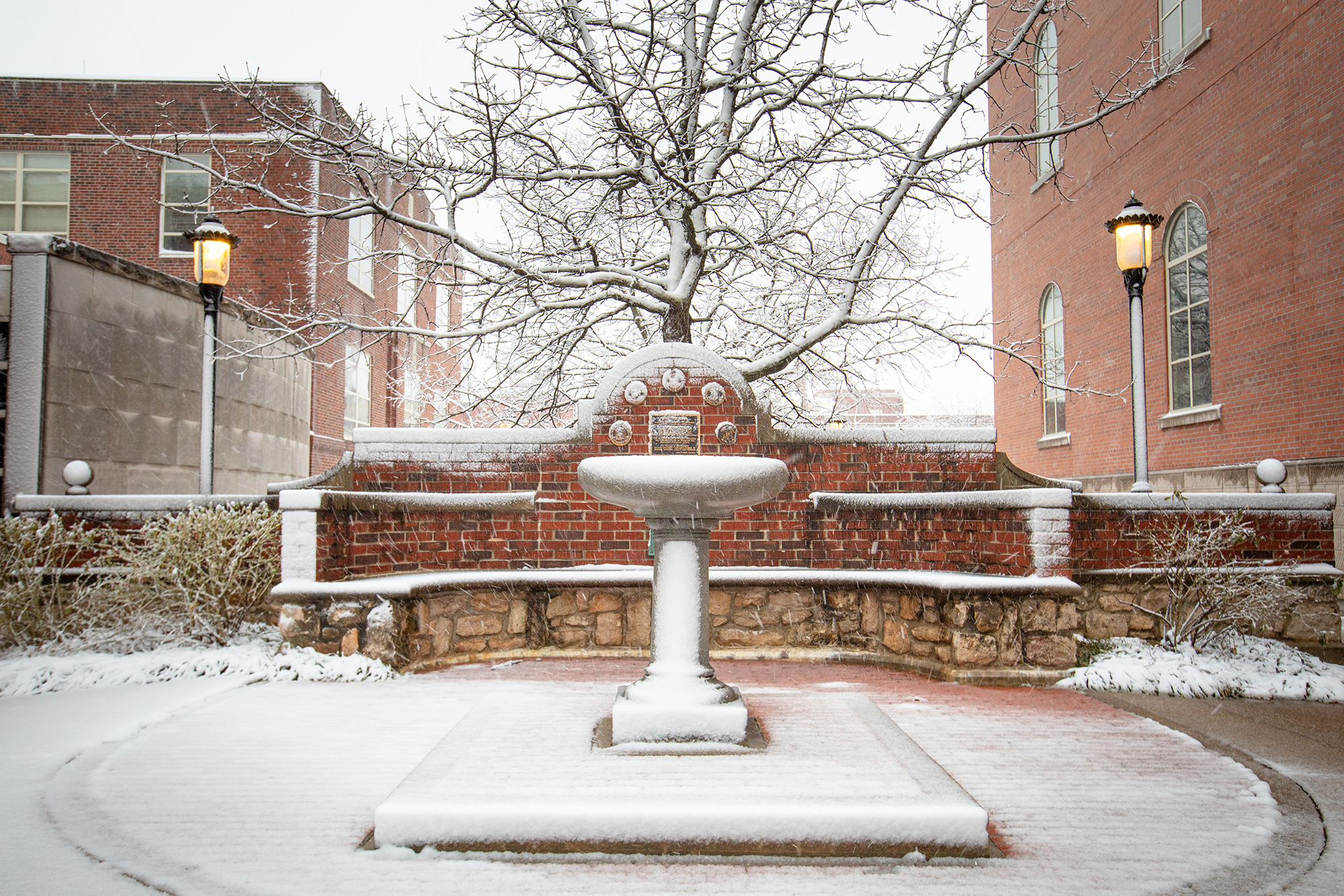 a fountain covered in snow
