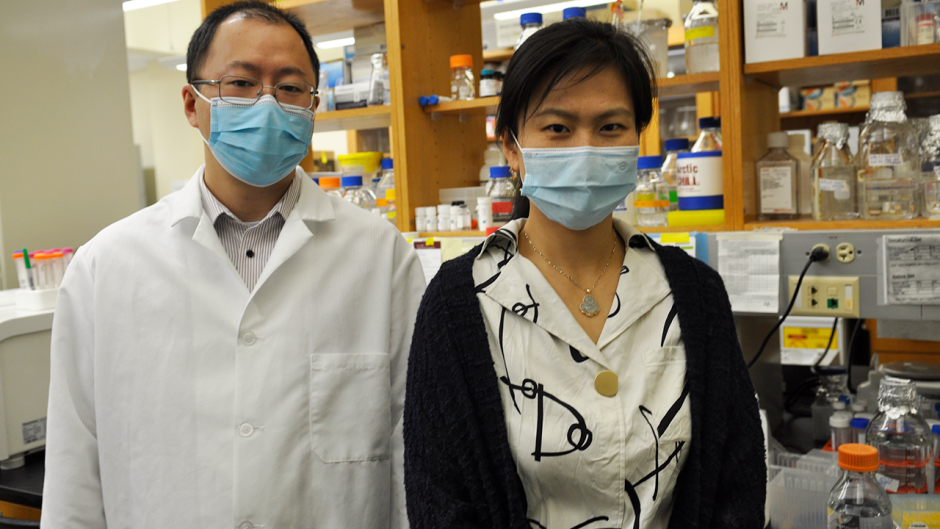 A photo of Zhenwei Song and Dr. Xiao Heng in a lab at Mizzou.
