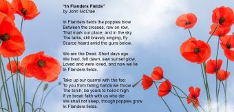 In Flanders Fields by John McCrae. In Flanders Fields, the poppies blow Between the crosses, row on row, That mark our place; and in the sky The larks, still bravely singing, fly Scarce heard amid the guns below. We are the dead. Short days ago We lived, felt dawn, saw sunset glow, Loved and were loved, and now we lie, In Flanders fields. Take up our quarrel with the foe: To you from failing hands we throw The torch; be yours to hold it high. If ye break faith with us who die We shall not sleep, though poppies grow In Flanders fields.