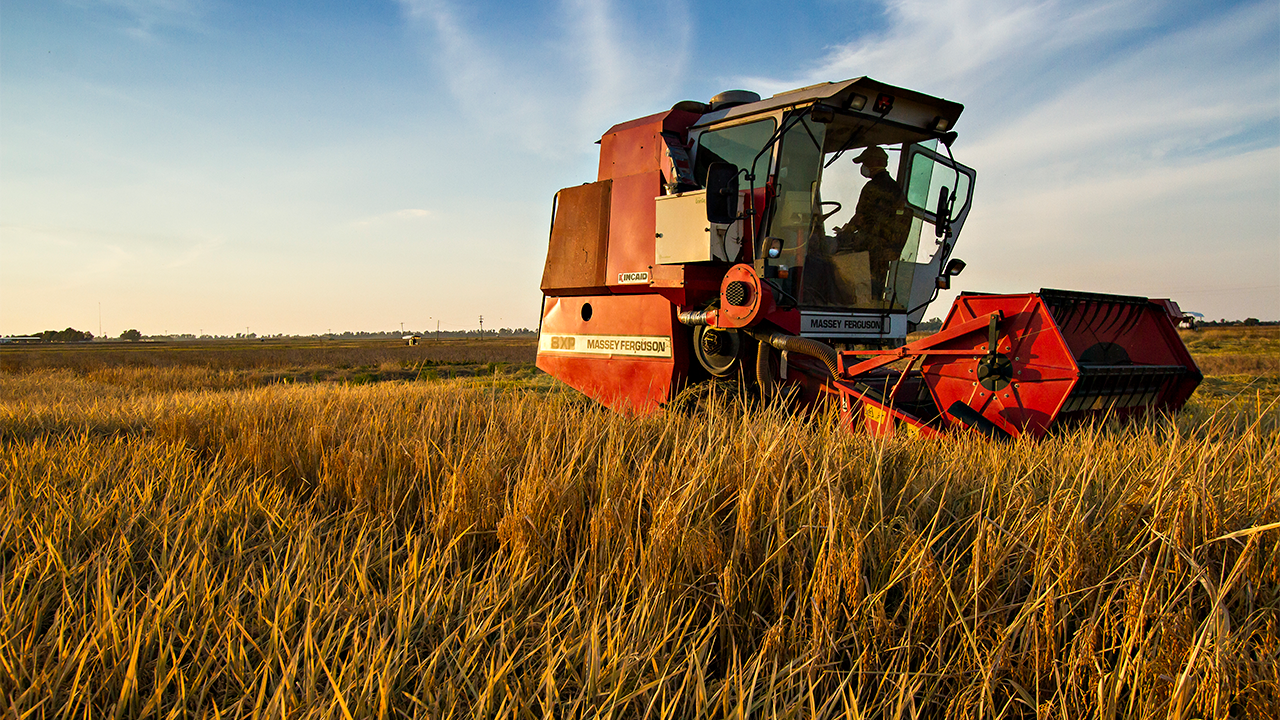 This is an image of a rice harvester.