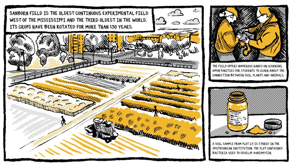 a comic about sanborn field