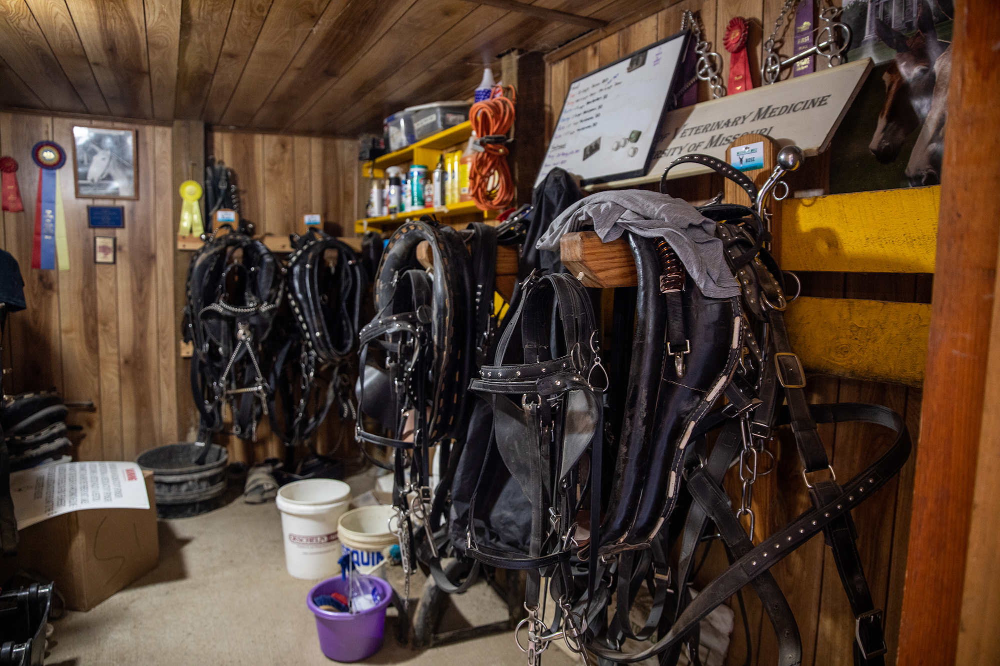 sets of gear for the mules to pull carts with hang on the wall
