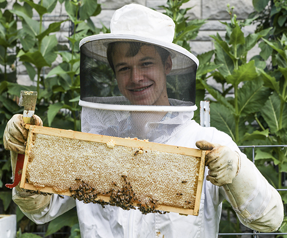 a beekeeper holding a slat of a hive