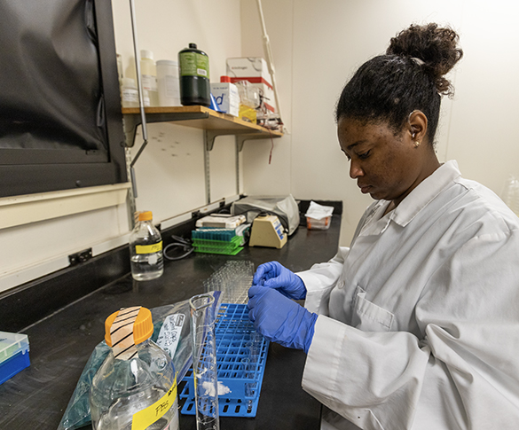 a woman does research in a lab