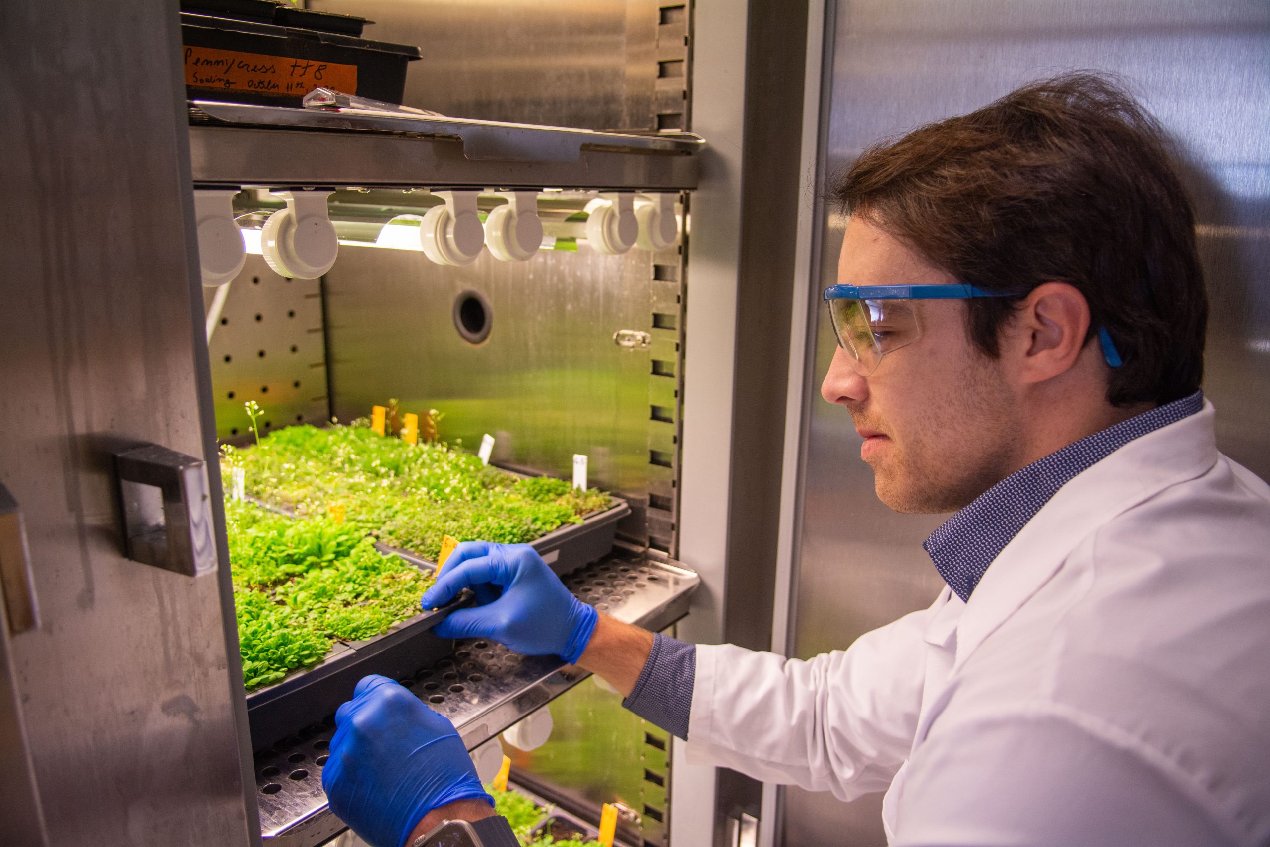 a picture of Gabriel Lemes Jorge working with plants