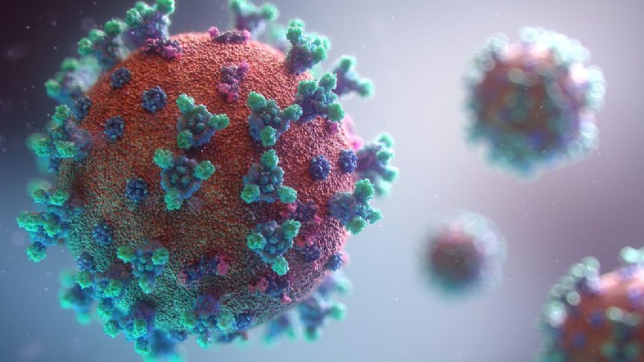 An up-close model of a virus.