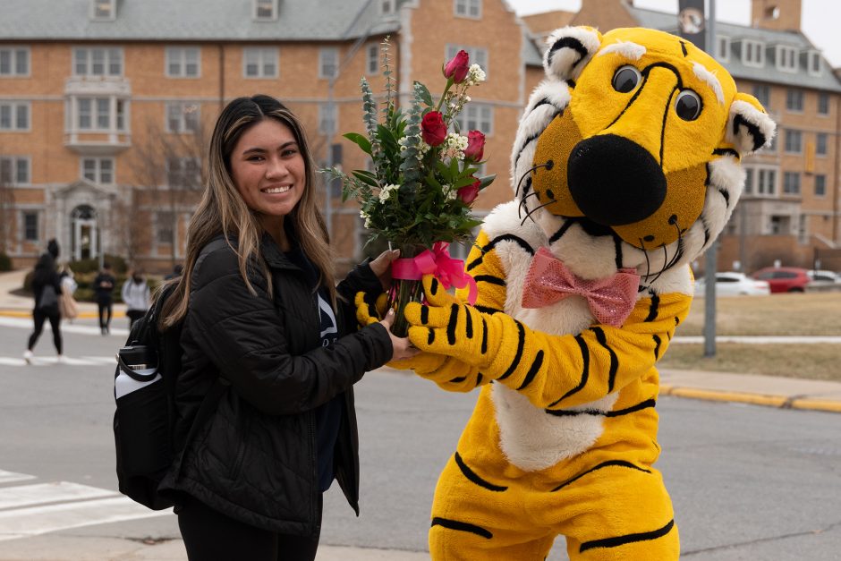 truman the tiger hands a student some roses