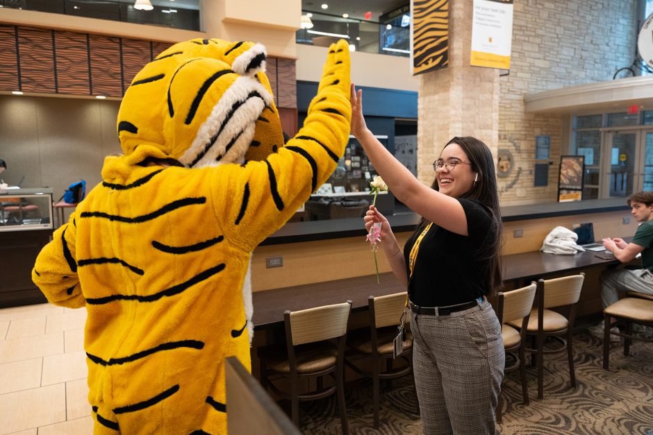truman the tiger gives a high five and rose to a student