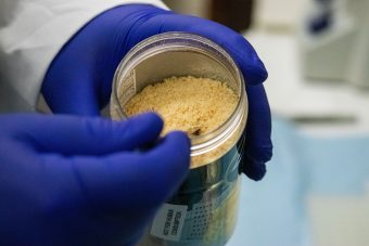 Scientist holds a sample of parmesan cheese for testing