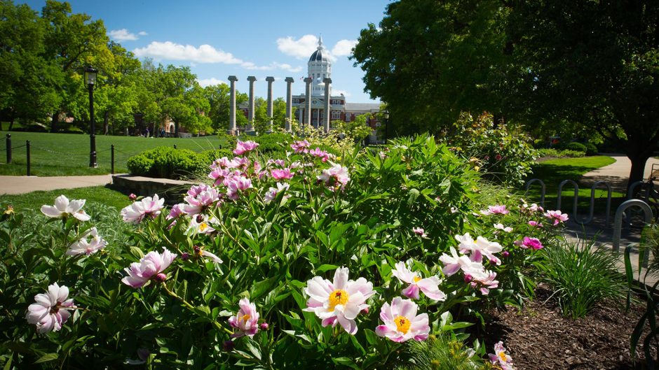 Flowers adorn campus on the northwest corner of The Quad.