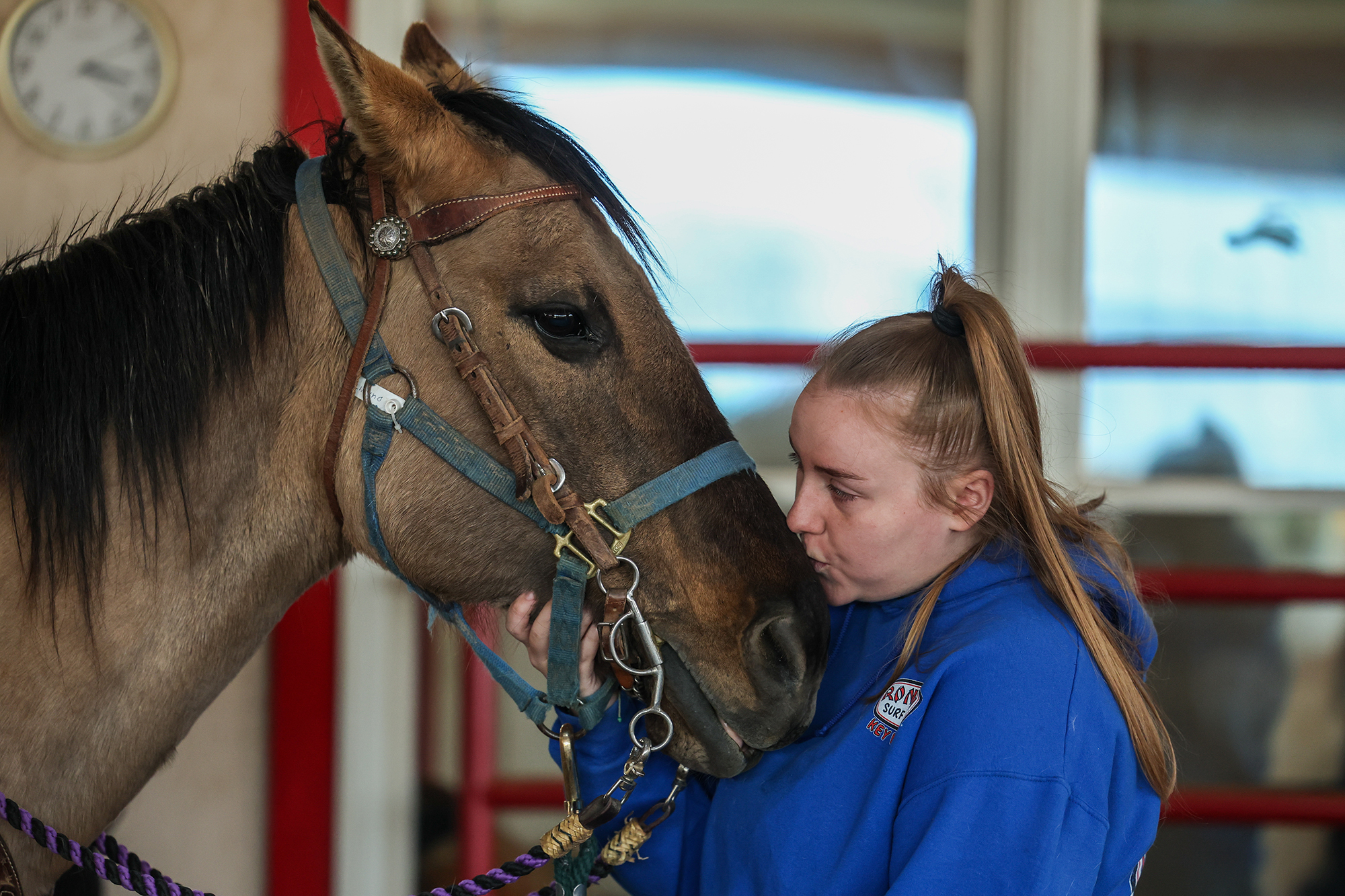 Girl kissing horse on nose