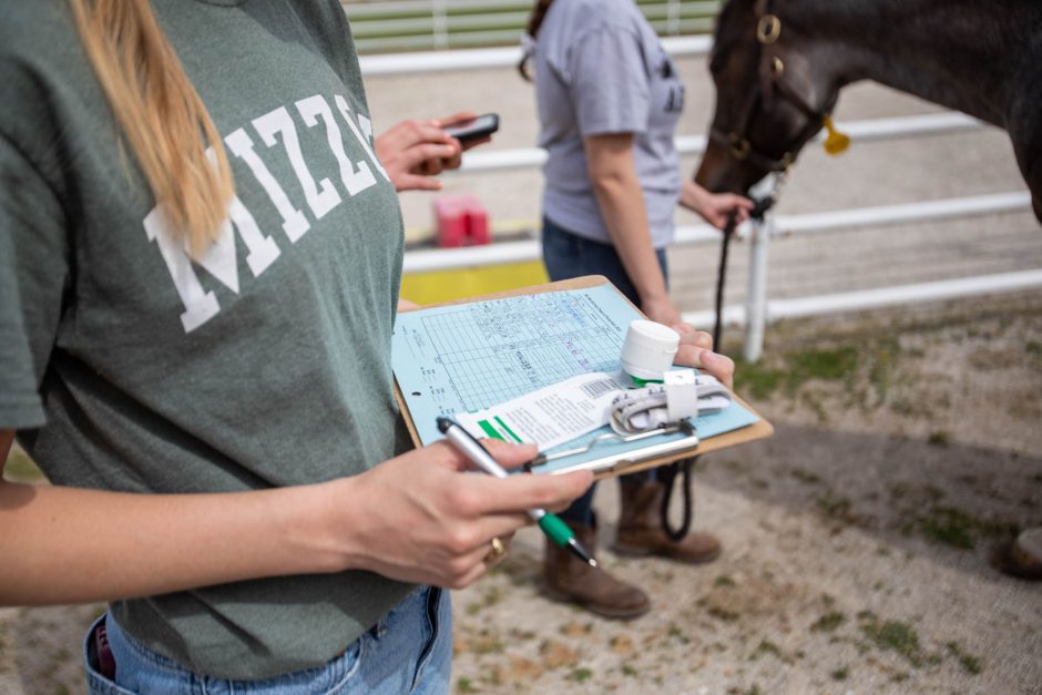 More than just horsing around // Show Me Mizzou // University of Missouri