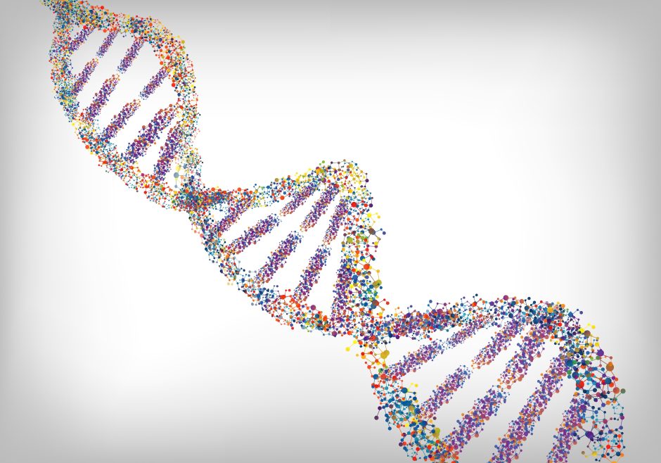 A graphic rendering of a DNA strand source shutterstock