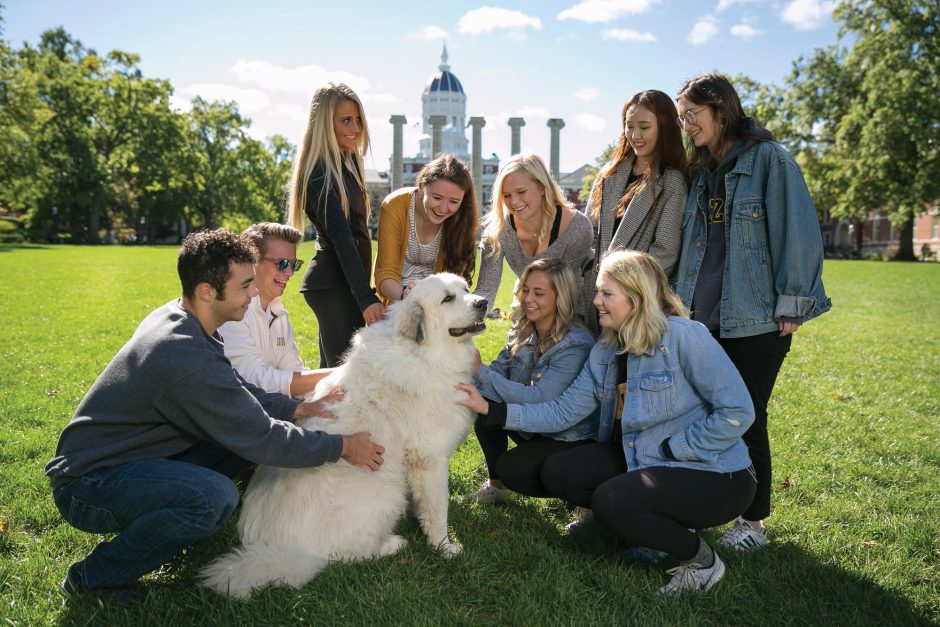 dog with students on campus