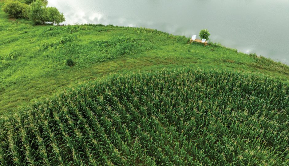 drone photo of farm