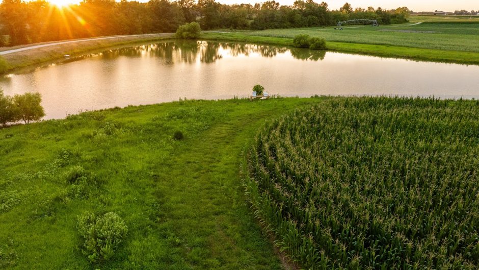 Picture of a farm