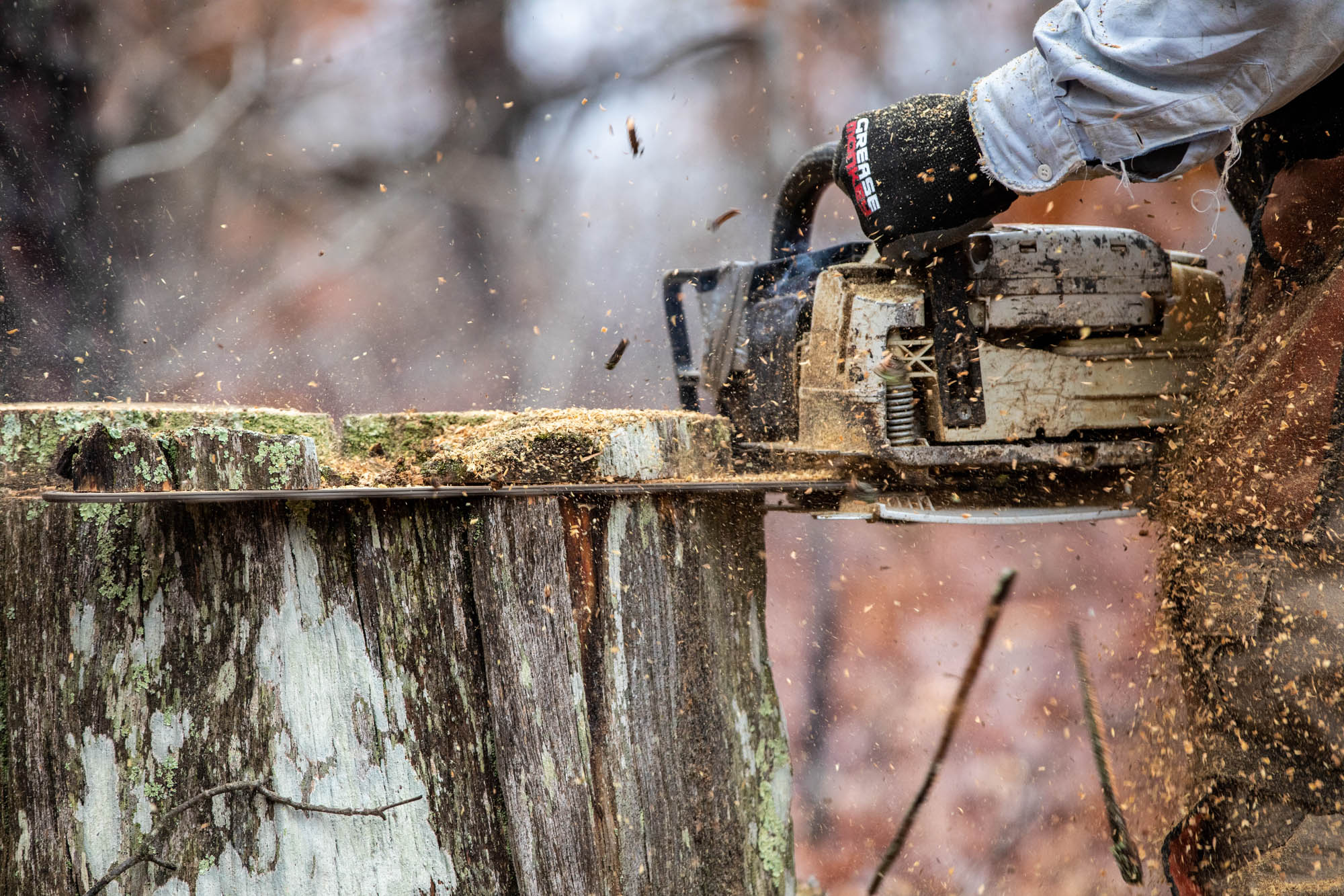Sawing a piece of tree stump off.