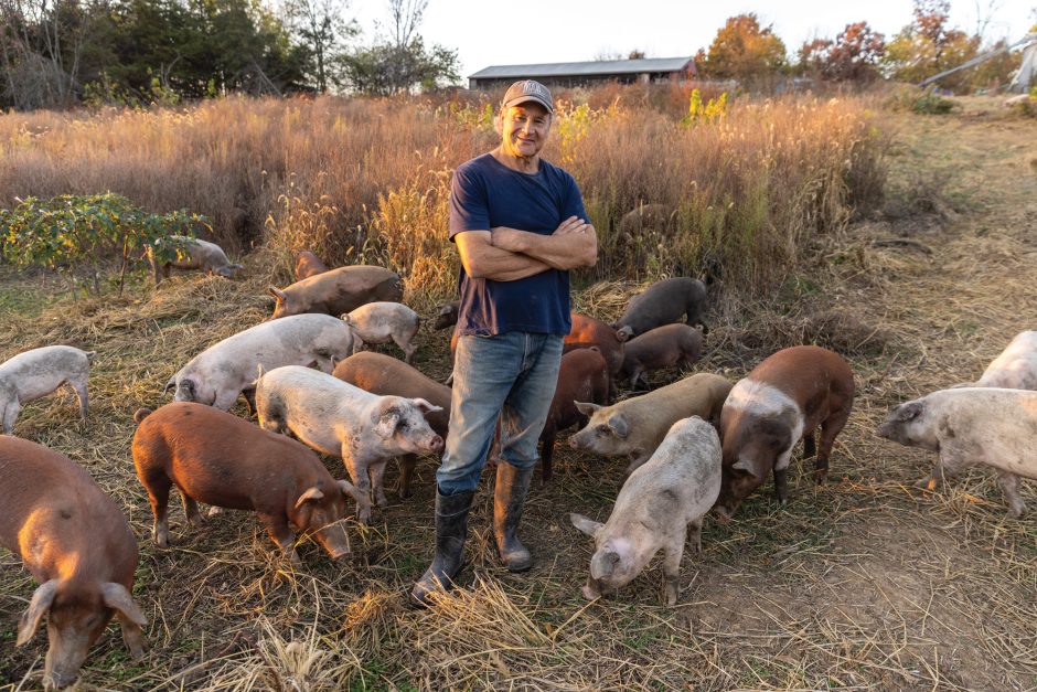 Russ Kremer standing with hogs