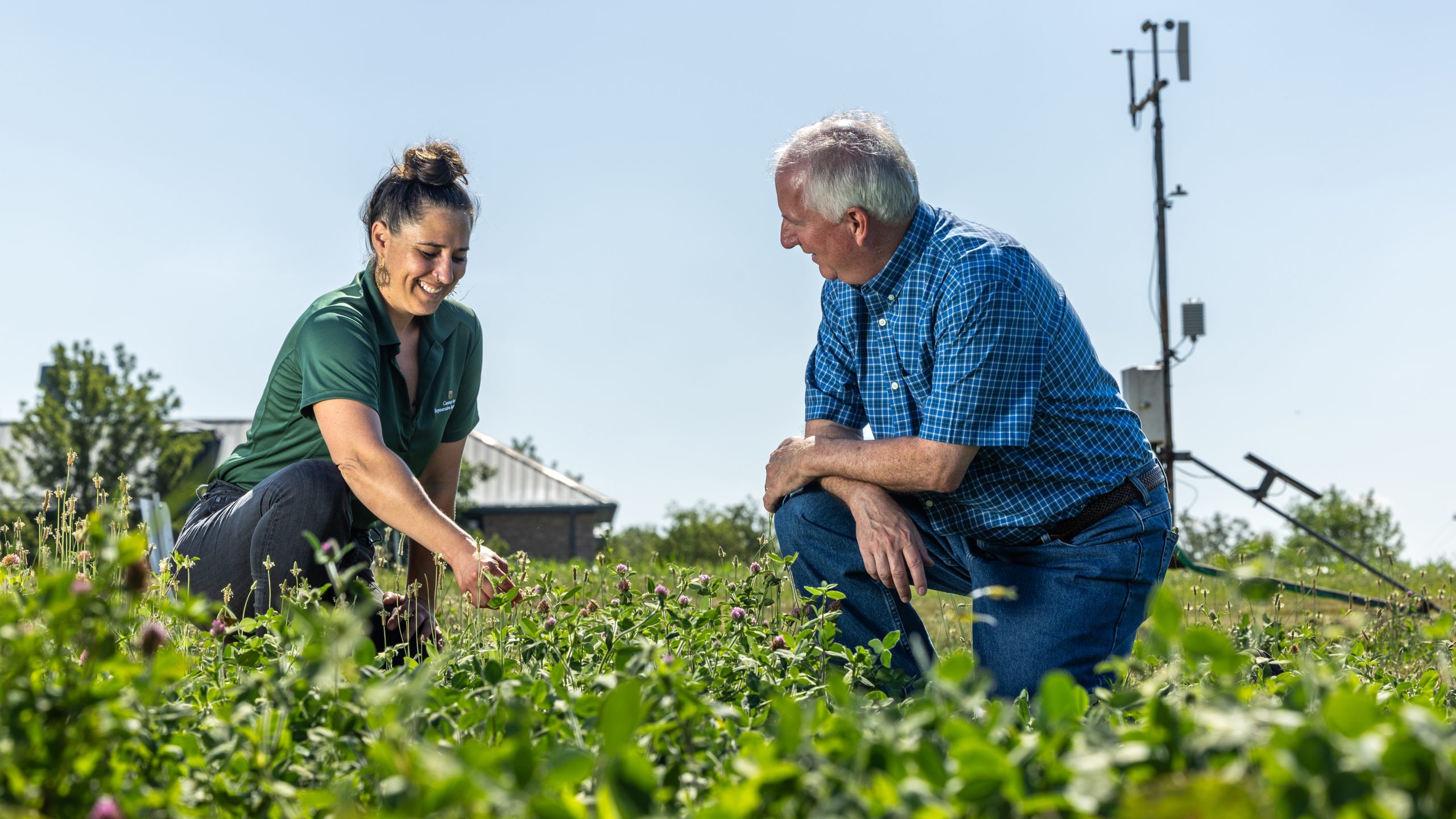 New pilot app supports Missouri farmers’ participation in climate-smart ...