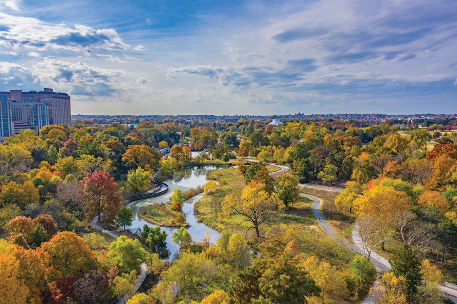 Forest Park aerial photo