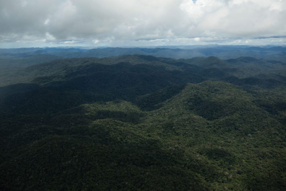 aerial photo of Amazon jungle