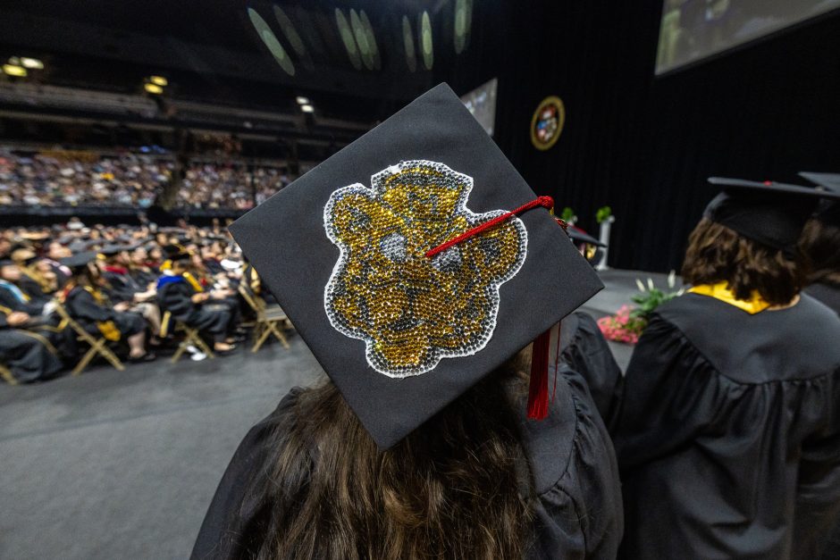Mortar board decorated with tiger