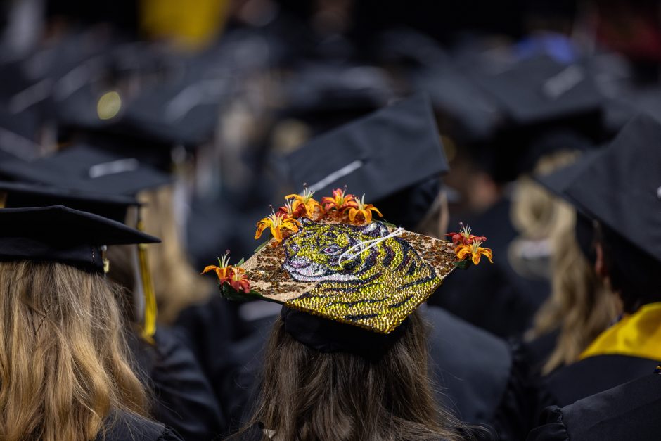 Mortar board decorated with tiger