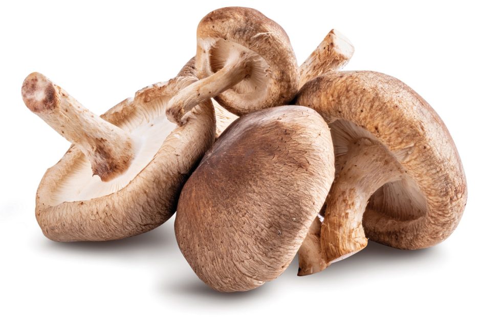 shitake mushrooms