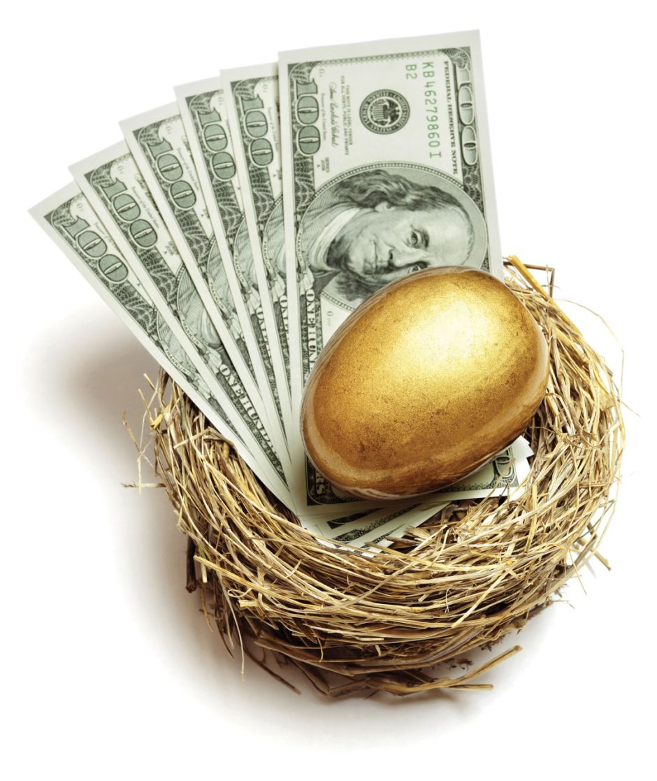 money in nest with golden egg