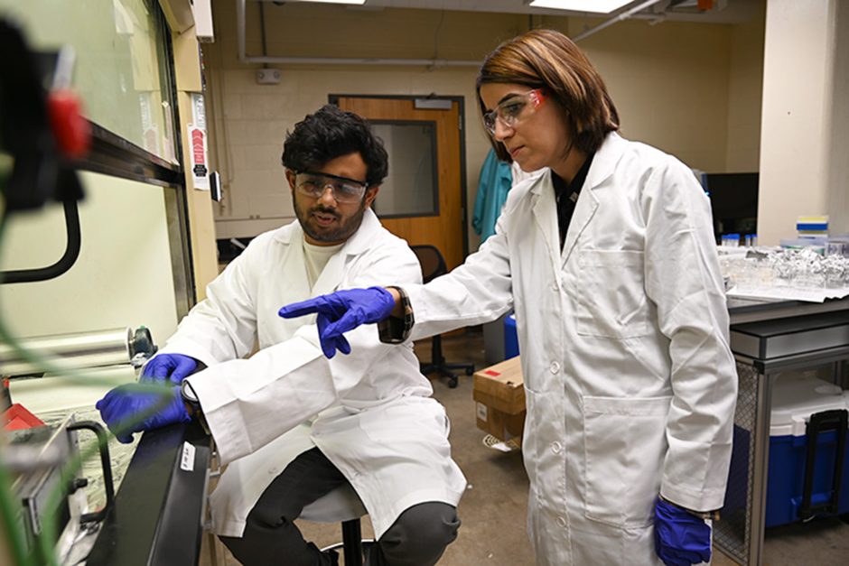 Anadu Gopakumar Nair and Maryam Salehi in a lab