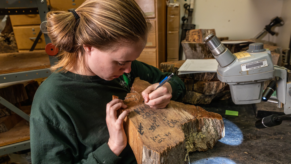 A student conducting research.