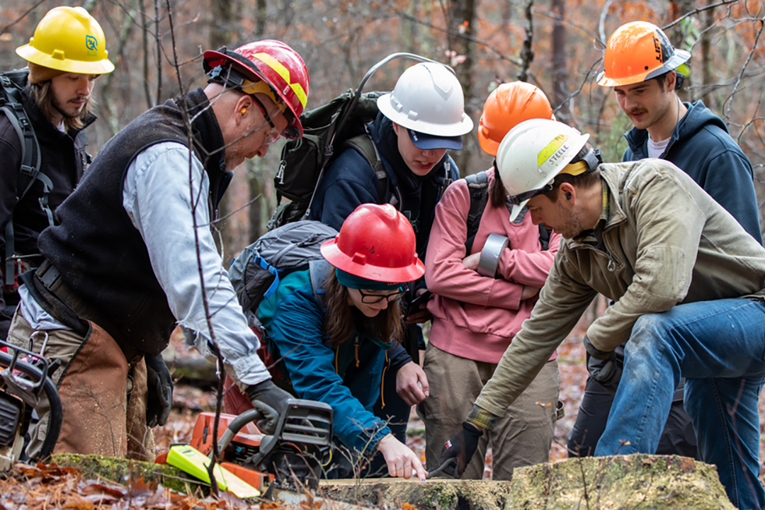 Students and faculty looking at a tree stump.