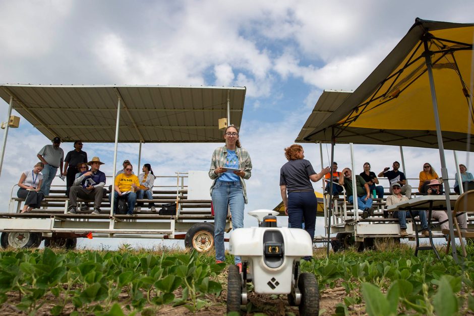 Person controls small robot on farm